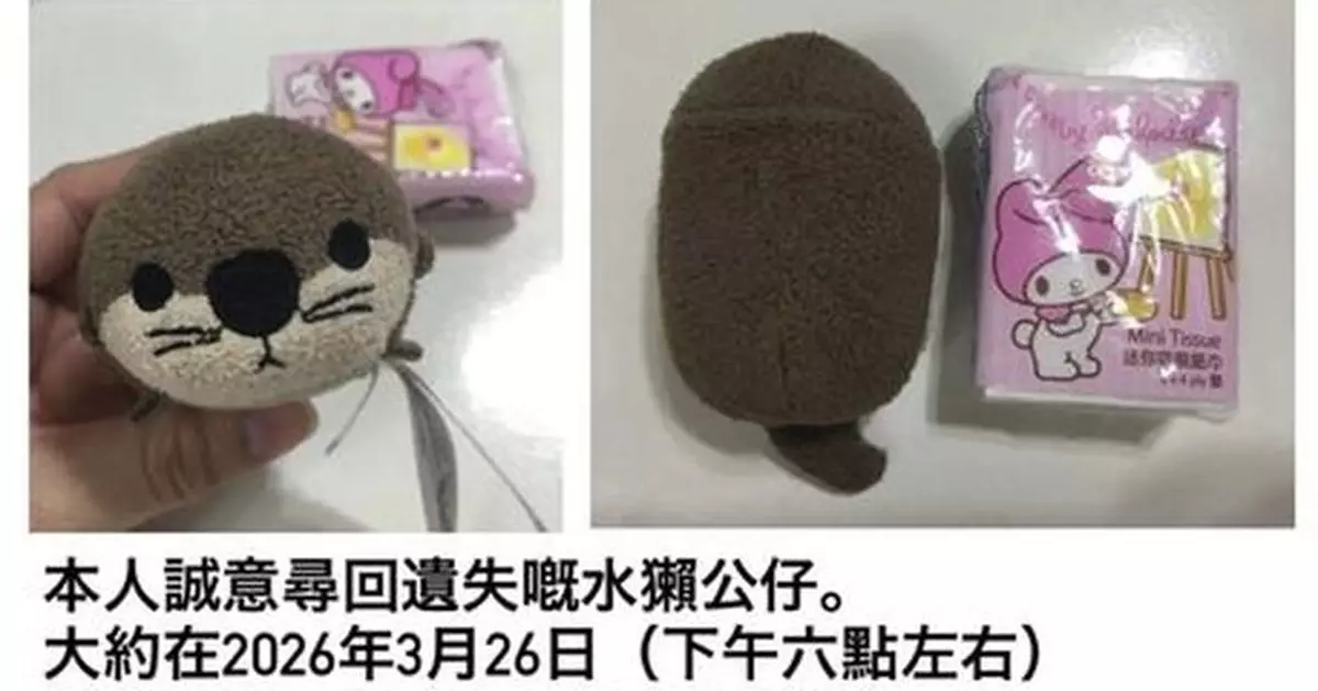 女大生懸賞$3萬盼尋回陪伴10年水獺公仔 兄長加碼冀圓妹心願