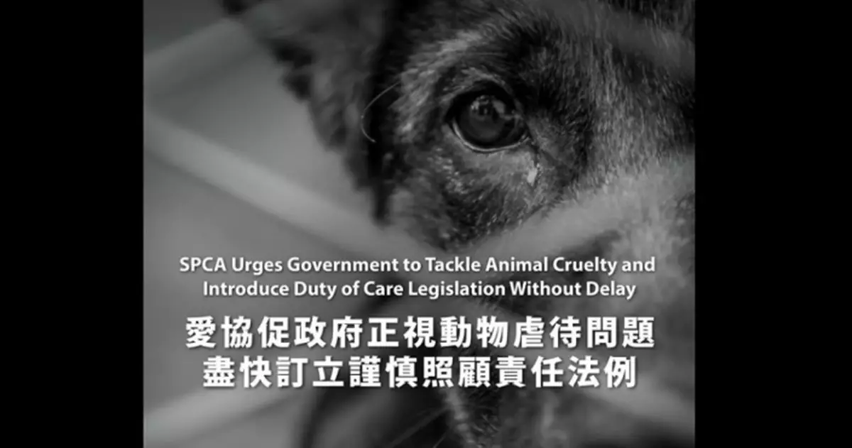 愛護動物協會促盡快訂定謹慎照顧責任法例 容許動物在痛苦惡化前及早介入