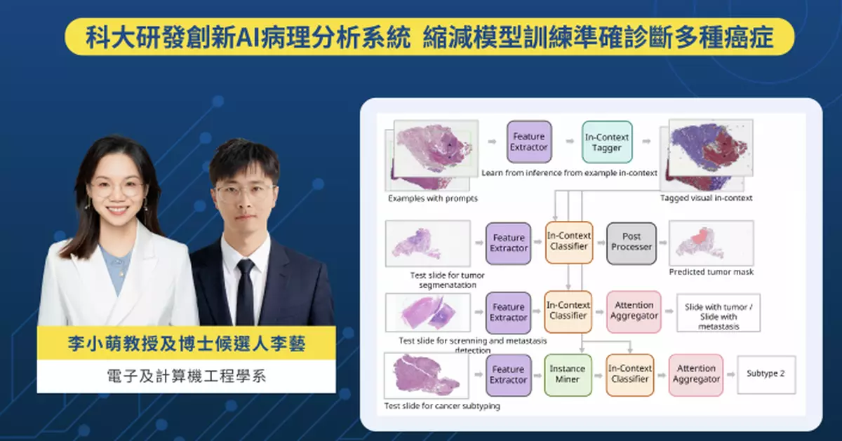 科大研發創新AI病理分析系統 僅需極少樣本準確診斷多種癌症
