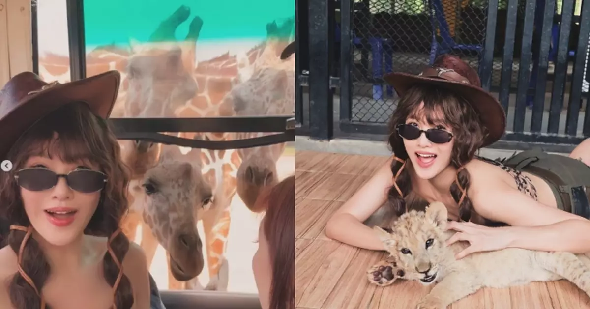 李彩華遊泰親親大自然 虎紋Bra Top上陣餵長頸鹿