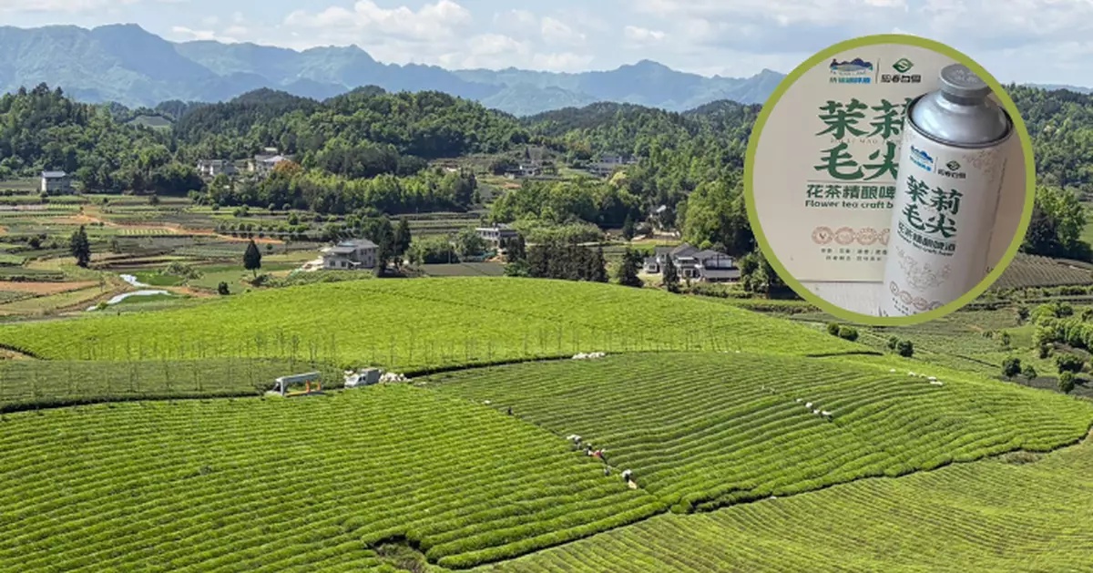 貴州行｜湄潭中國茶海世界最大 抹茶成推動產業轉型升級重要方向