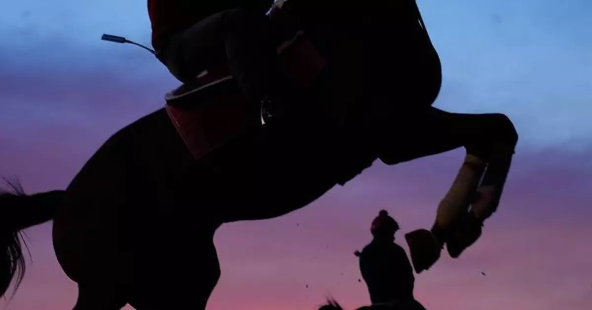 美聯社一周精選垂直影像 捕捉全球焦點