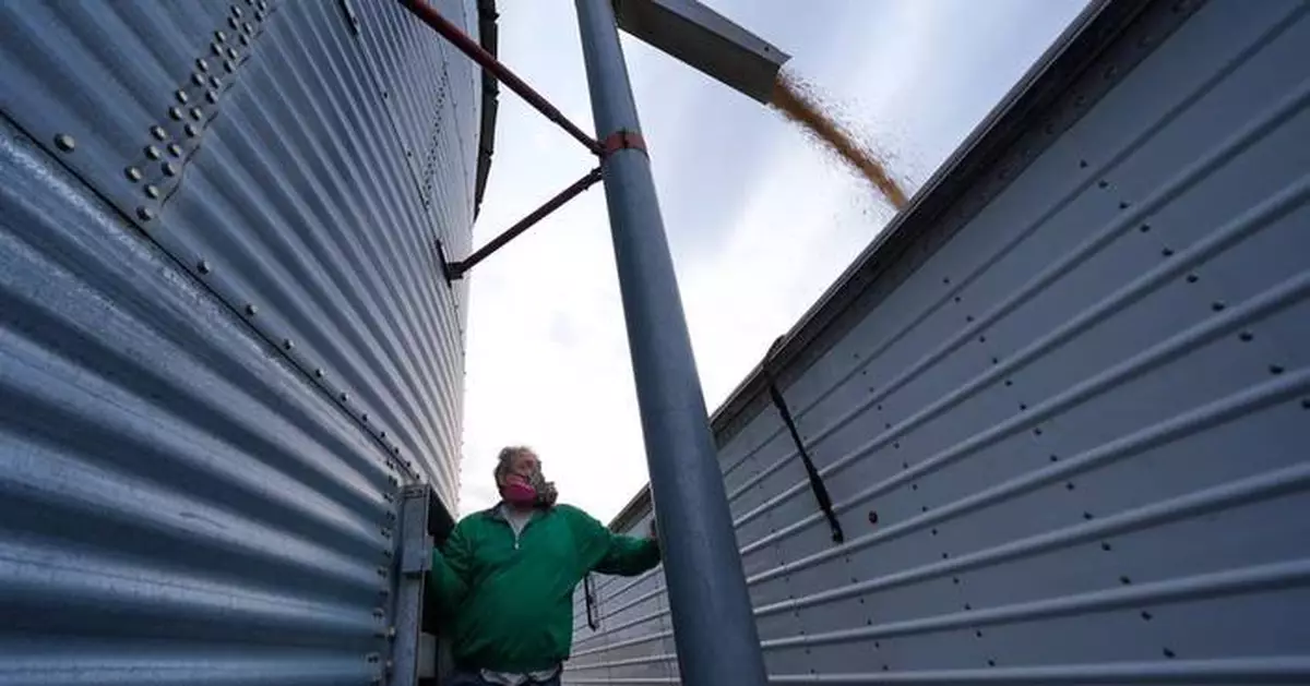 美國中西部大豆農戶陷財困 關稅及伊朗戰事雪上加霜