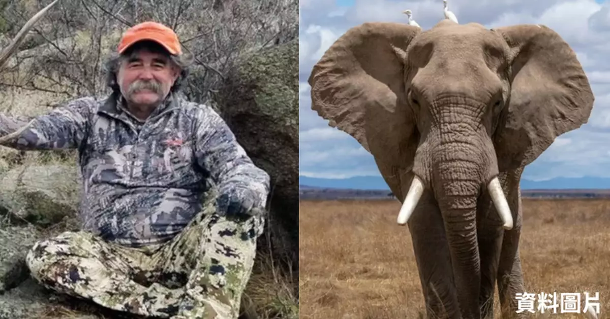 資深獵人命喪非洲！美加州酒業富商加彭狩獵遇難 誤闖象群遭踩死