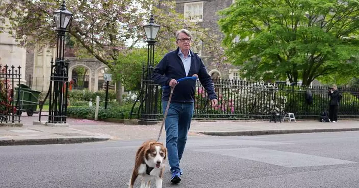 英國前官員稱受壓批准文德爾森任美大使 施紀賢面臨辭職呼聲