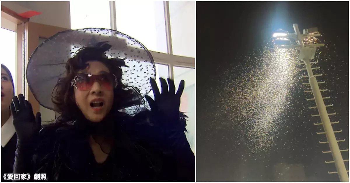 黃大仙「飛蟻大軍」壓境  街坊急關窗防入屋：多到頭皮發麻