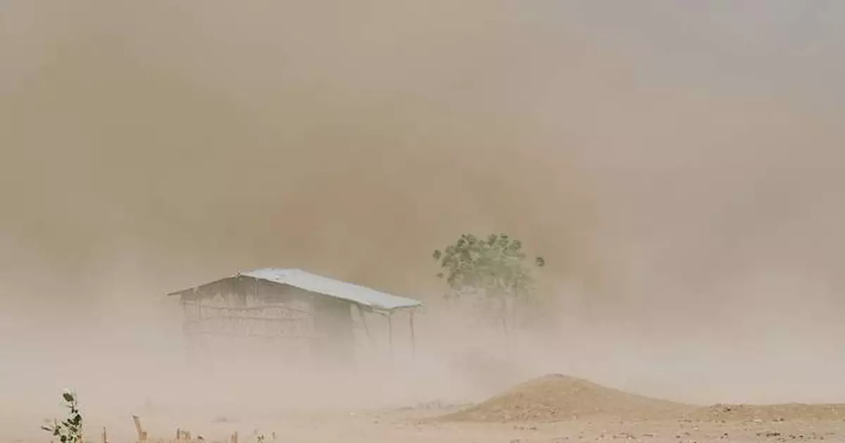 沒藥樹受歷史性乾旱威脅 影響非洲收入及名貴香水供應