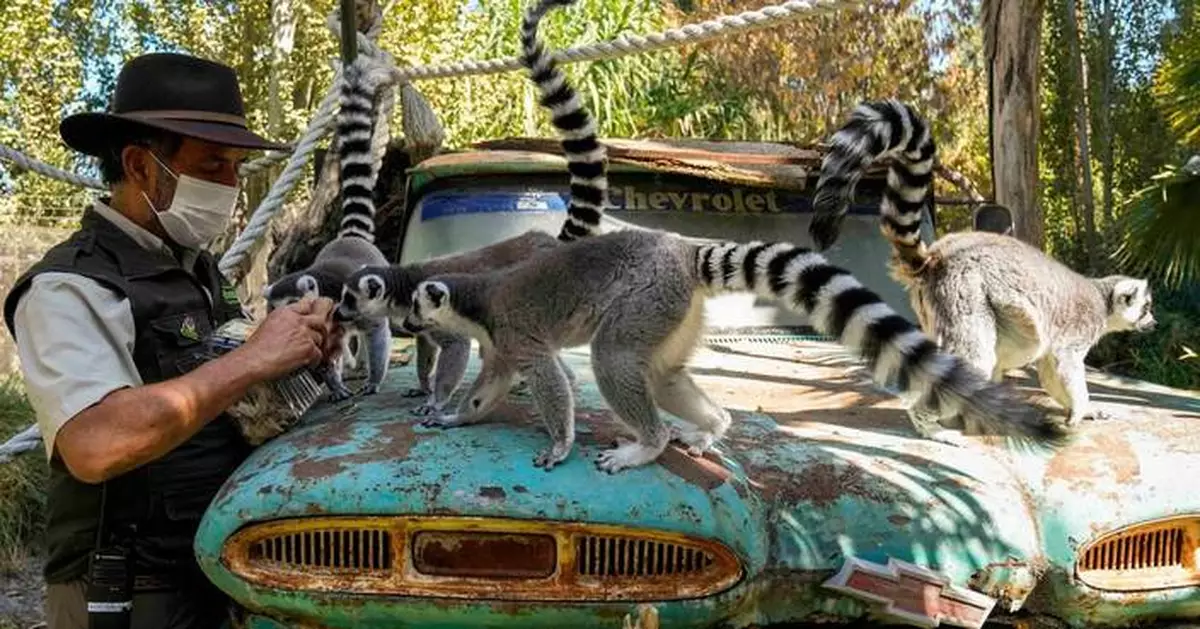 智利動物園辦復活節尋蛋活動 零食專為動物而設