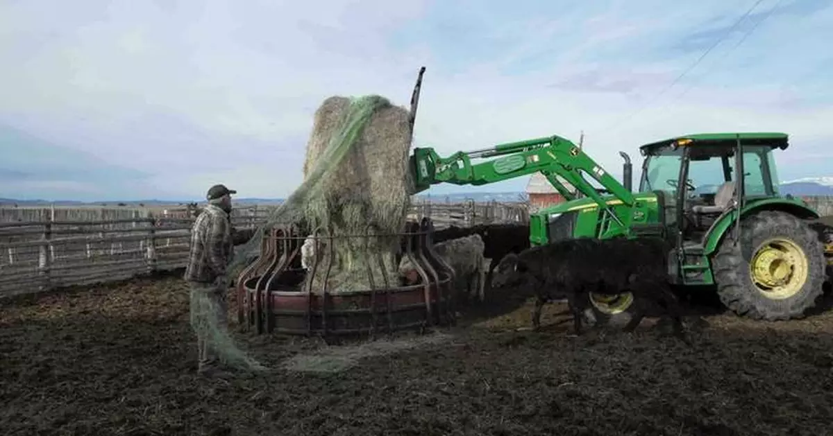 科羅拉多州積雪創紀錄新低 美國西部旱情恐惡化