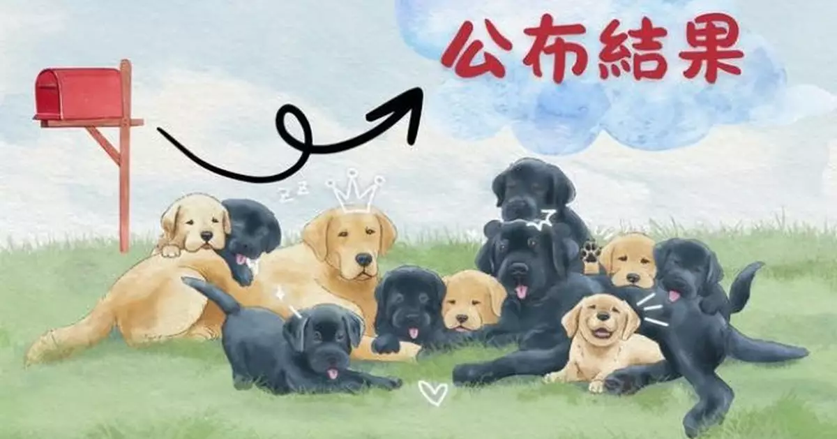 海關搜查犬BB命名大賽結果出爐 9隻幼犬名字揭曉