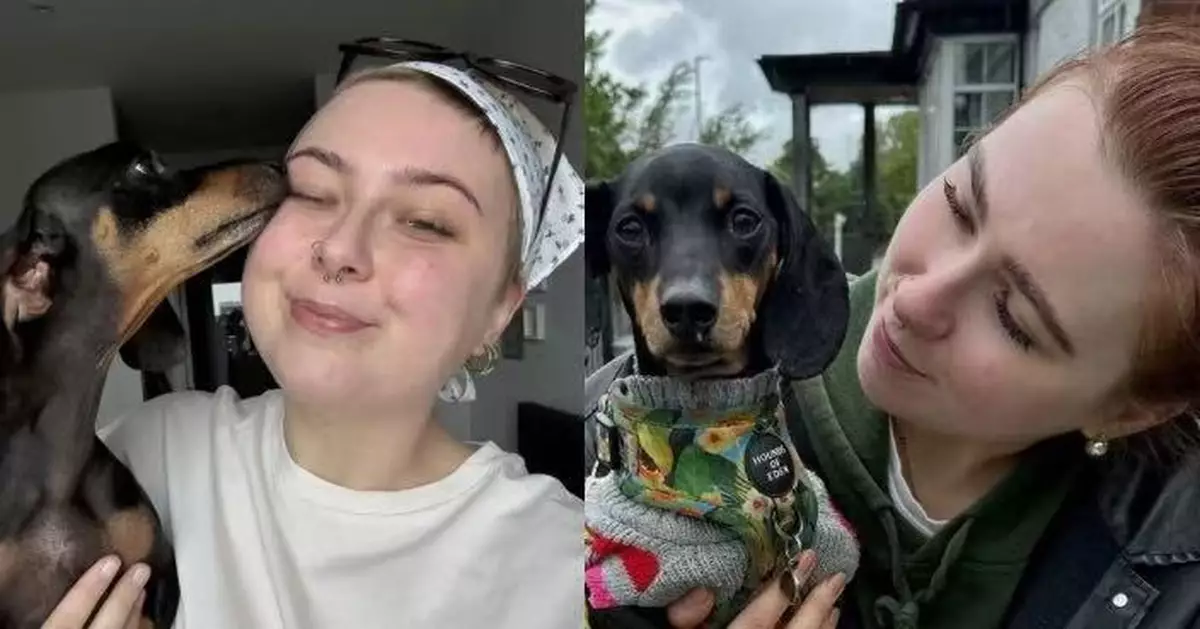 高冷臘腸犬變黏人趴腹部不肯走 英女飼主求醫發現自己罹患血癌