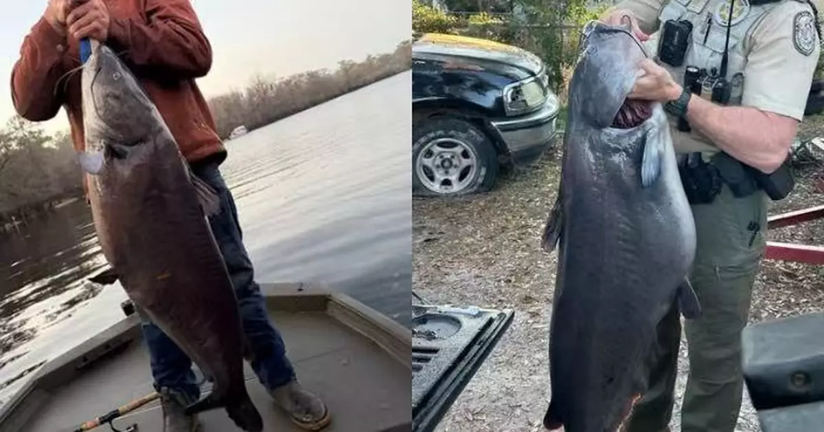 打破11年來最重紀錄！釣客佛州河流捕獲逾33KG巨型藍鯰魚震驚釣魚圈