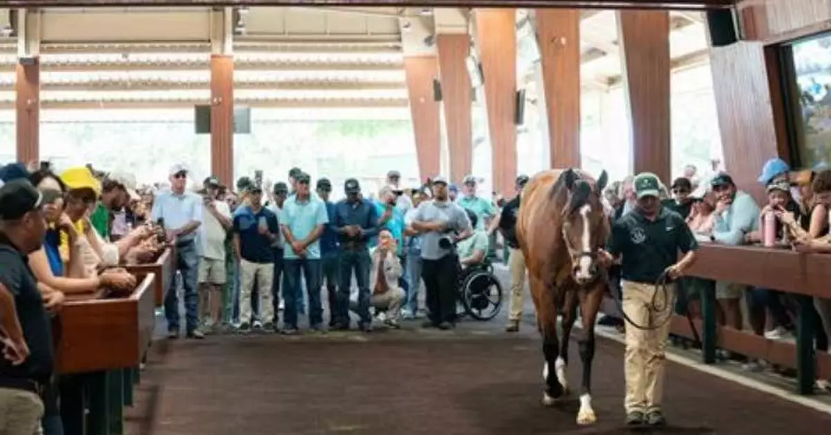 美拍賣會2歲公馬拍出8230萬天價刷新紀錄 「傳奇馬王」二代血統曝光