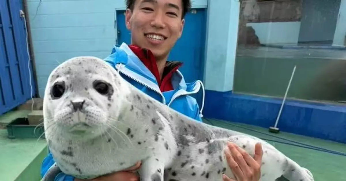 日本肥胖海豹仔被飼育員輕鬆抱起 館方公開實際體重引網笑：以為係填充公仔！
