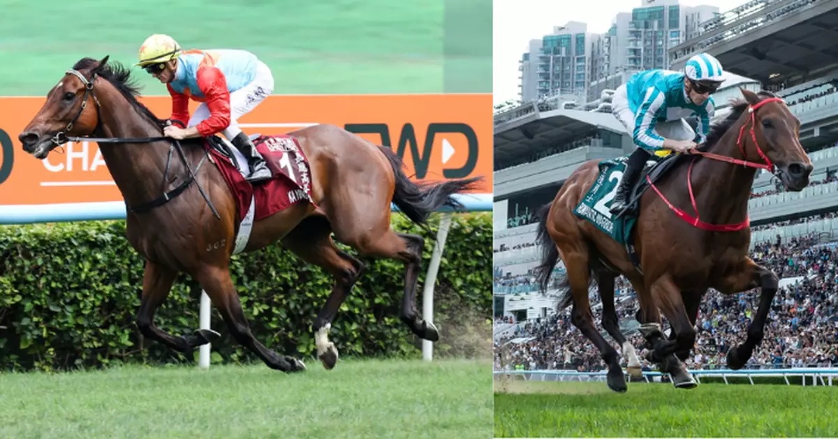 最新世界最佳馬匹排名公布 「嘉應高昇」 「浪漫勇士」包攬全球前二