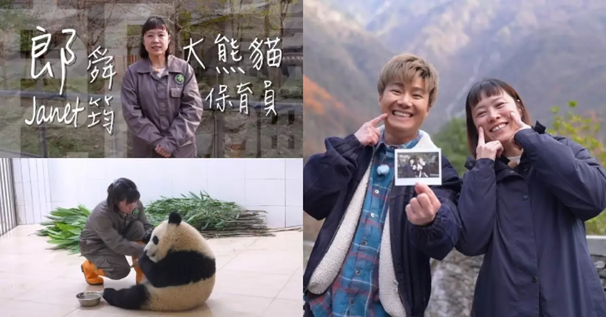 周遊人生｜周奕瑋飛抵四川 探索香港大熊貓保育員Janet紮根四川後工作細節＋生活日常