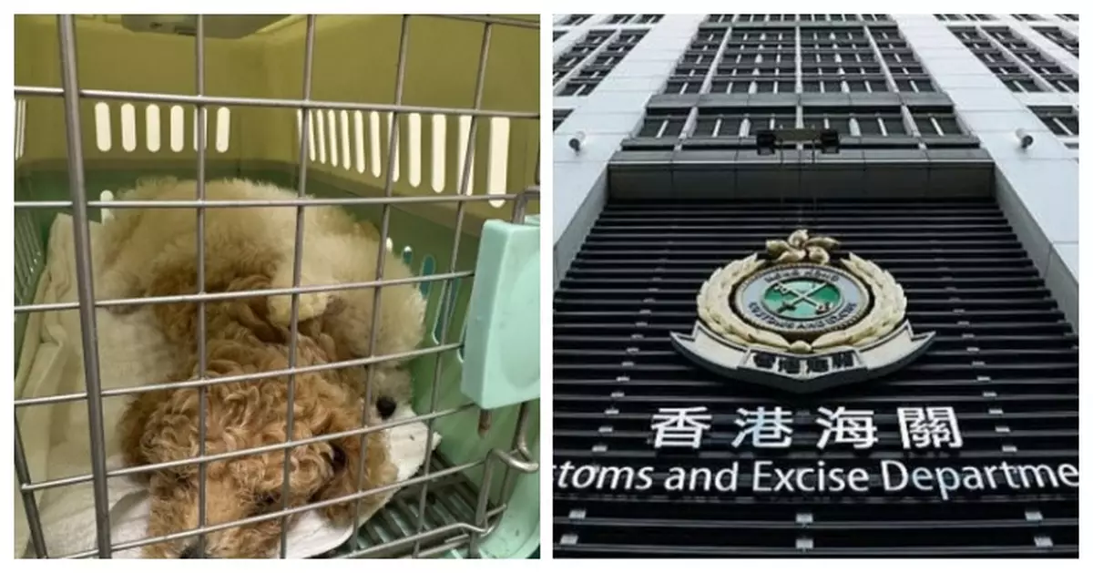 海關於落馬洲支線管制站檢獲兩懷疑非法進口活犬 38歲男子被捕