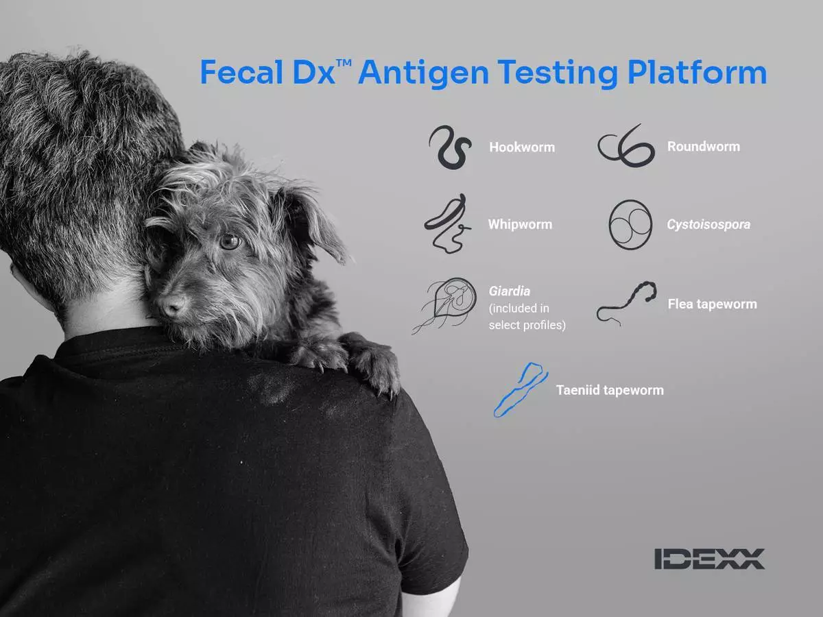IDEXX Fecal Dx™ 抗原檢測平台菜單 AP圖片