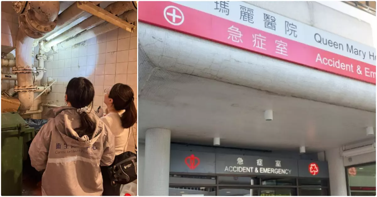 紅磡42歲男染大鼠戊型肝炎今年首宗　3名家居接觸者接受醫學監察