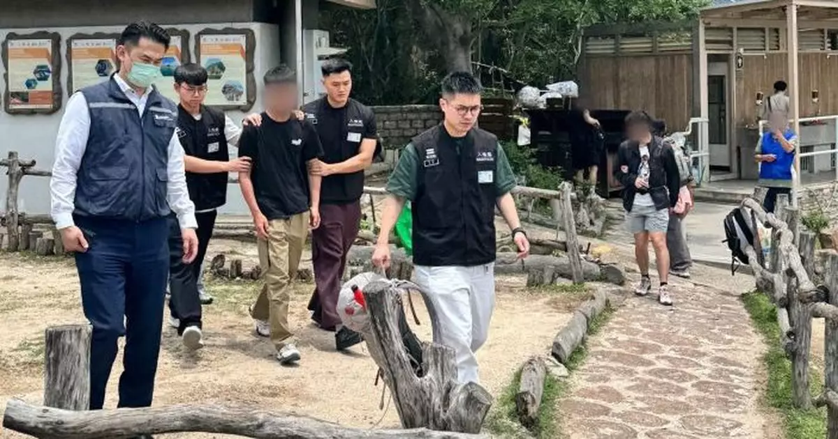 27歲內地男網上宣傳來港提供導遊領隊服務 入境處夥旅監局「放蛇」拘捕