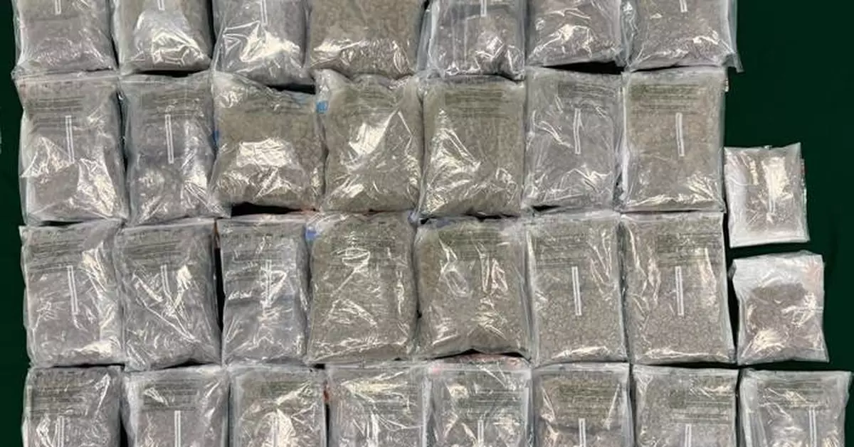 海關屯門檢31公斤懷疑大麻花 市值600萬元一男被捕