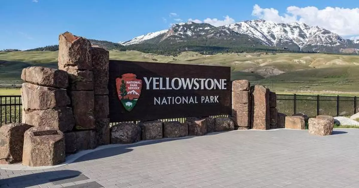 黃石公園兩名遠足客遭熊襲擊受傷 園方暫封部分區域調查