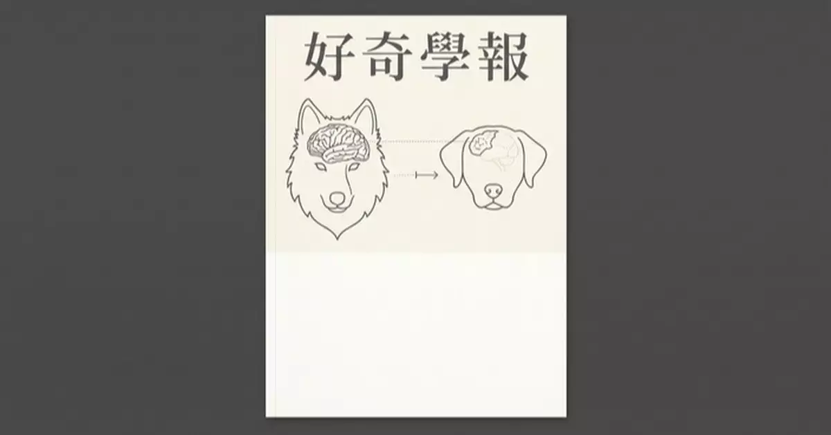 狗狗馴化後腦萎縮近一半 研究證實：唔用腦，真的會縮
