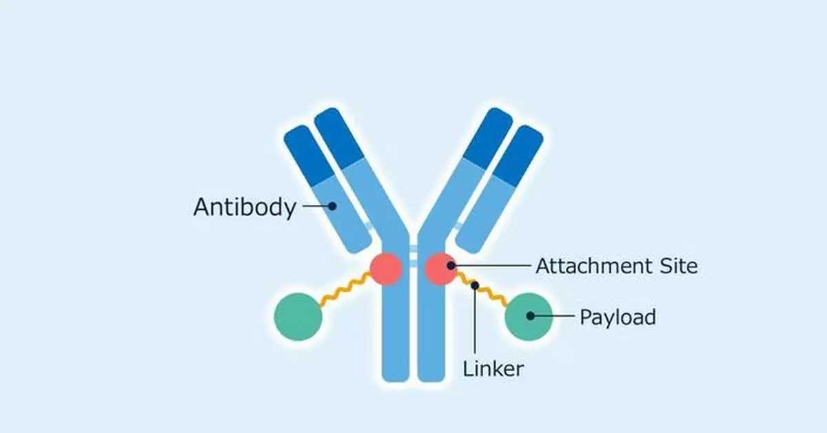旭化成生命科學獲新型ADC技術授權 助推癌症治療