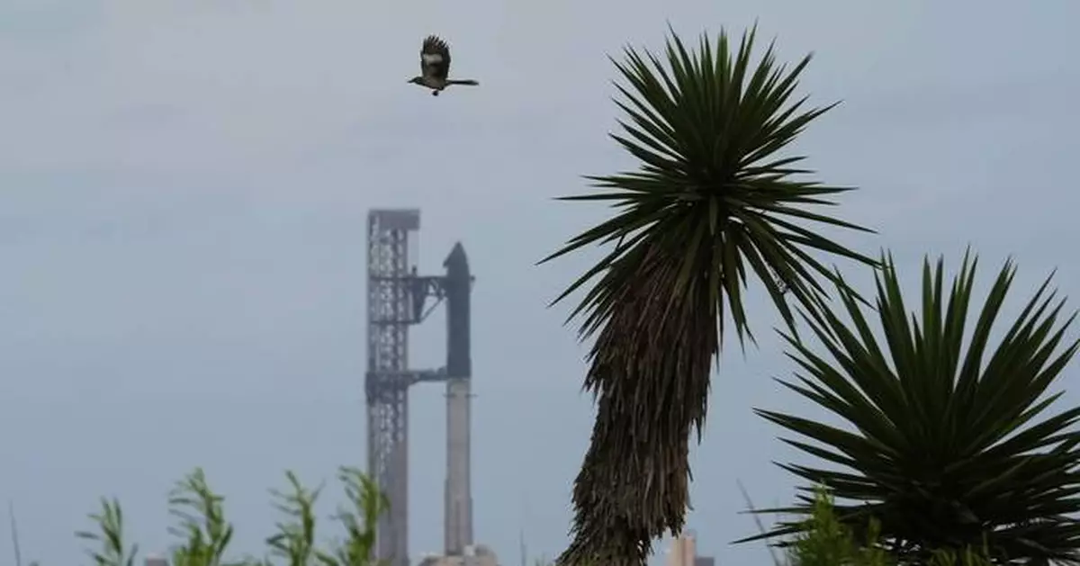 SpaceX星艦試射前遇連串問題 倒數最後關頭叫停