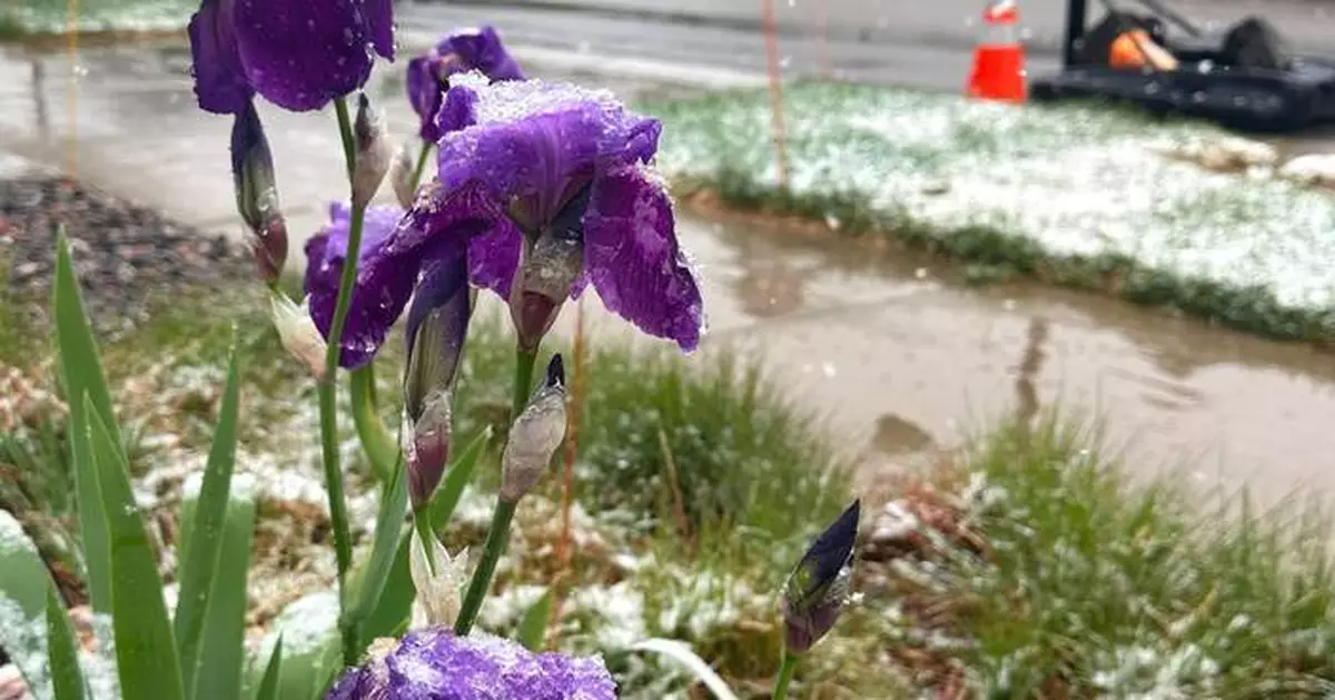 丹佛春季突降大雪 遲來風暴料成今季最大