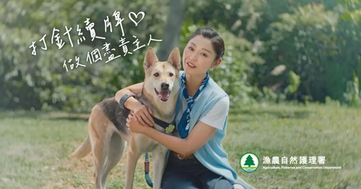 漁護署： 狗隻滿5個月須領取狗牌打狂犬病疫苗 每3年需續牌