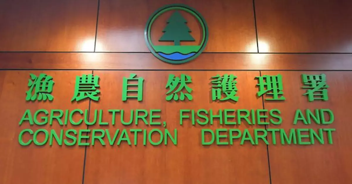 漁護署即日起嚴查狗牌 無牌狗主直接檢控不警告