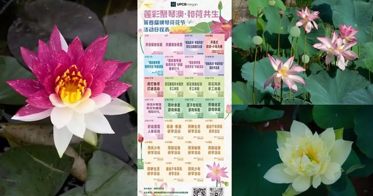 橫琴荷花節6月底開幕 琴澳聯動打造賞荷盛會