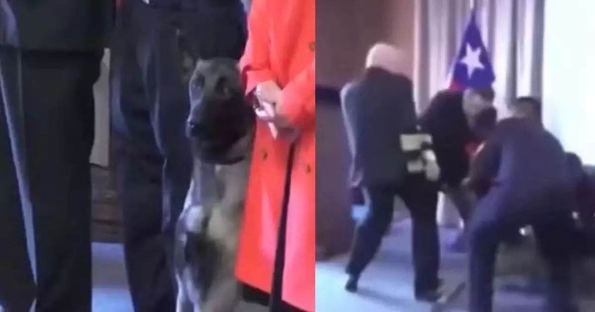 結業禮突撲向海軍中將 智利緝毒犬死咬對方褲袋不放 網民熱議：聞到了甚麼？