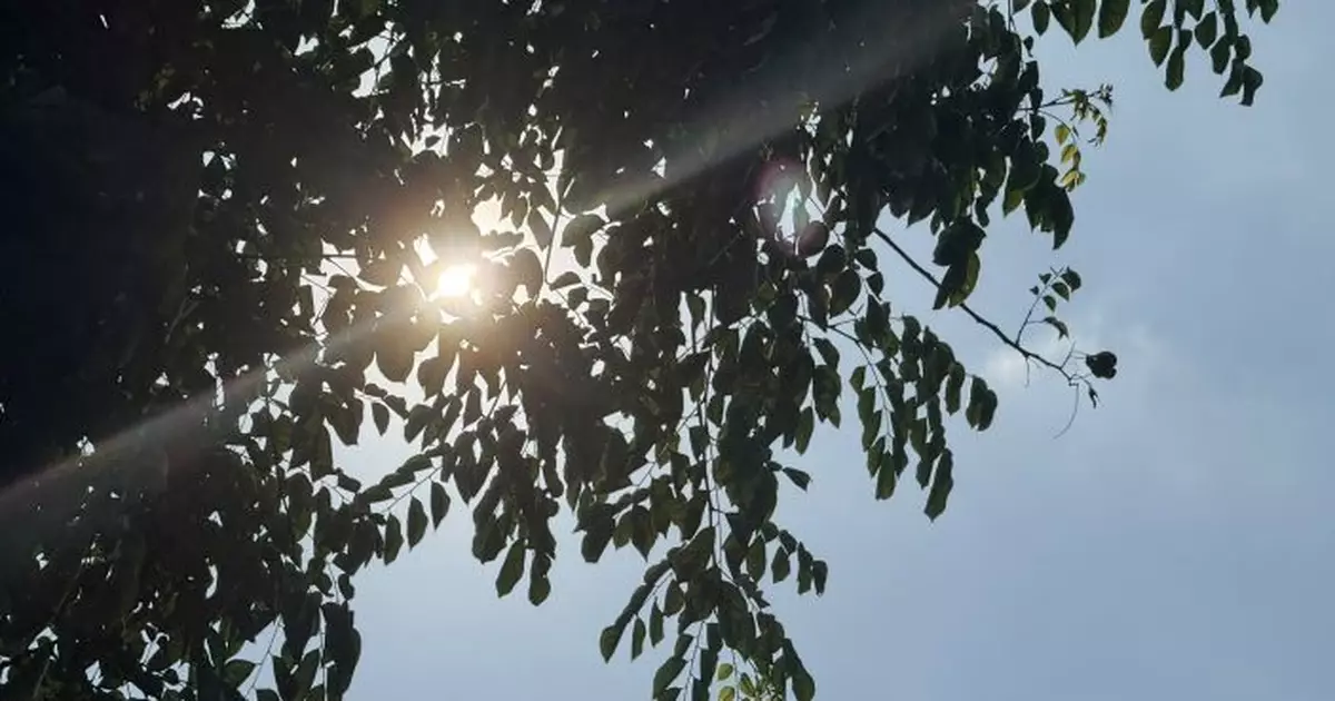 天氣 | 酷熱天氣警告生效 最高33度局部地區有驟雨
