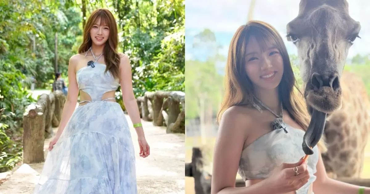 邱晴鏤空長裙遊富國島動物園 與長頸鹿親密互動上演爆笑小插曲