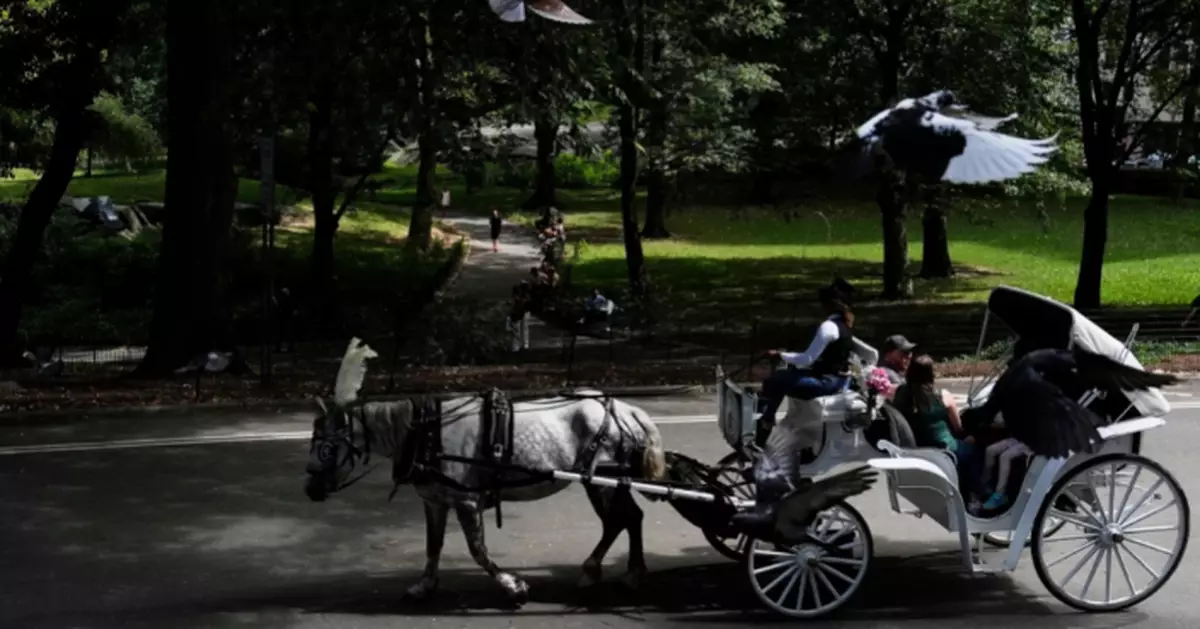 中央公園馬匹猝死！紐約市長推馬車禁令 68架馬車全停駛