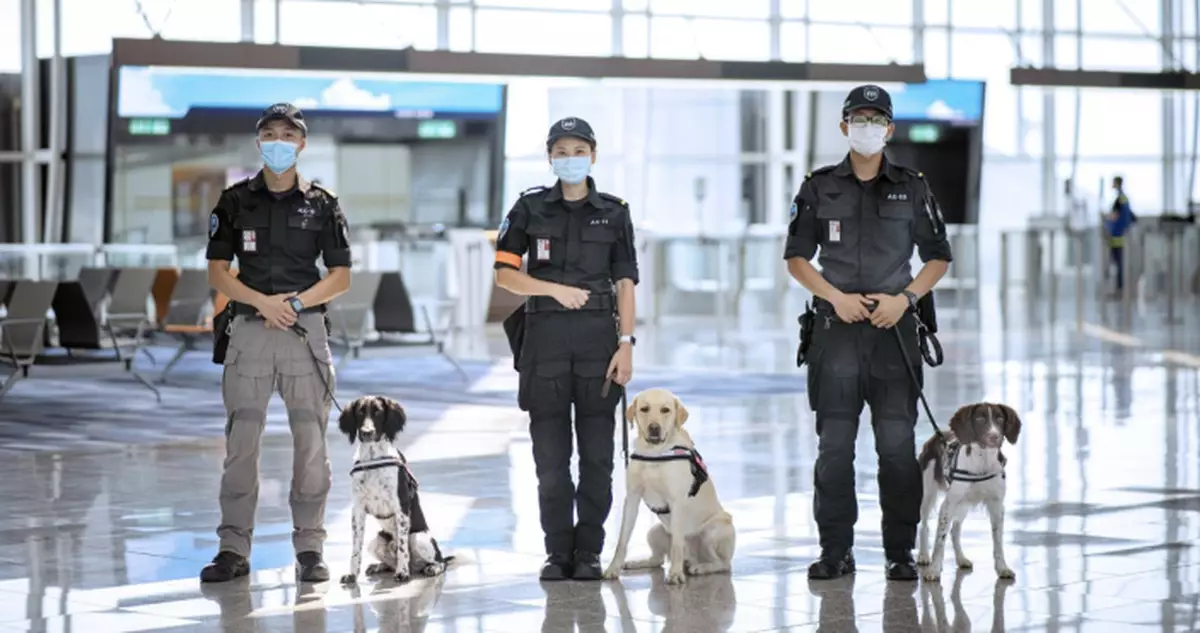 機場保安犬小組成立5周年由2隻增至20隻　穿上「PAT ME」背心可讓旅客觸摸互動