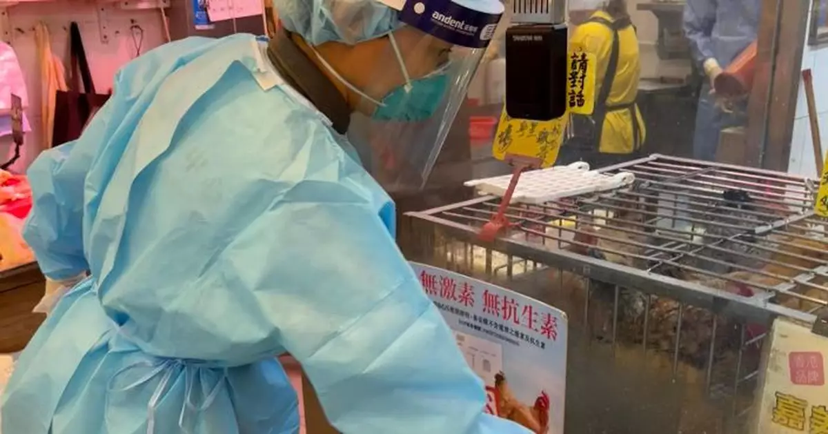 男童染低致病性禽流感H9病毒 衞生署指不會人傳人毋須撲殺家禽