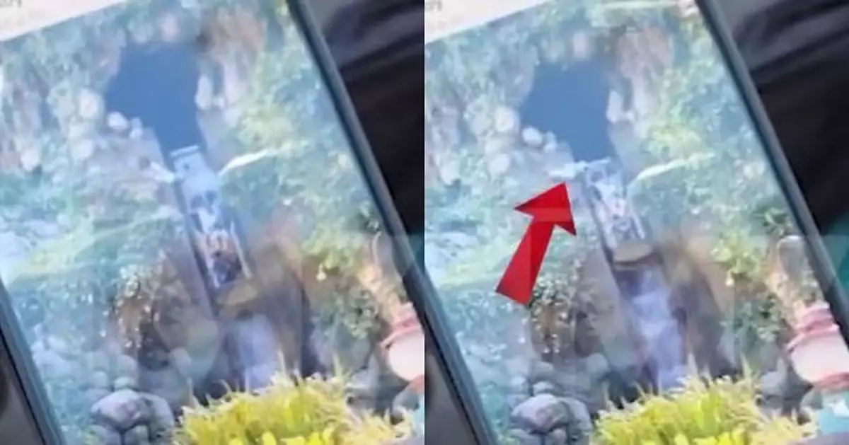 搭迪士尼遊樂設施突爬出車外 美國少年隨瀑布水道滑落底部激流處被送院