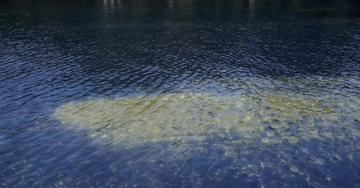林肯紀念堂倒影池內襯遭利器割破 國家公園管理局證實