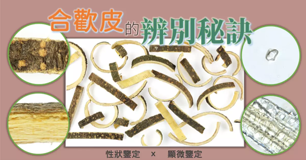 合歡皮的辨別秘訣