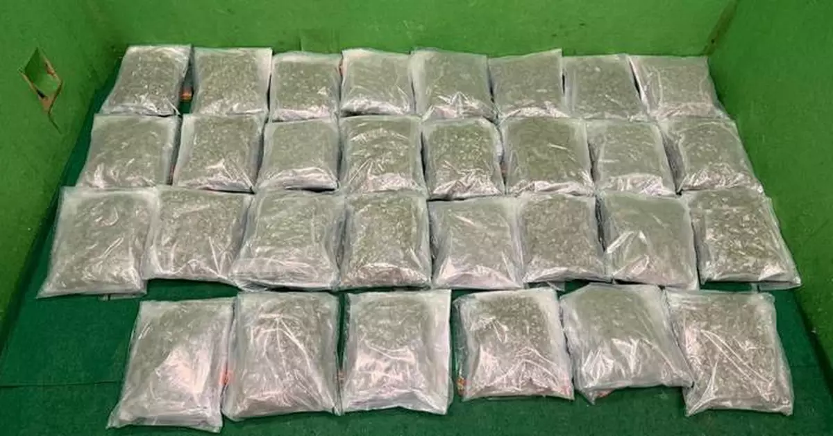 海關機場拘一抵港女子 檢值270萬元大麻花