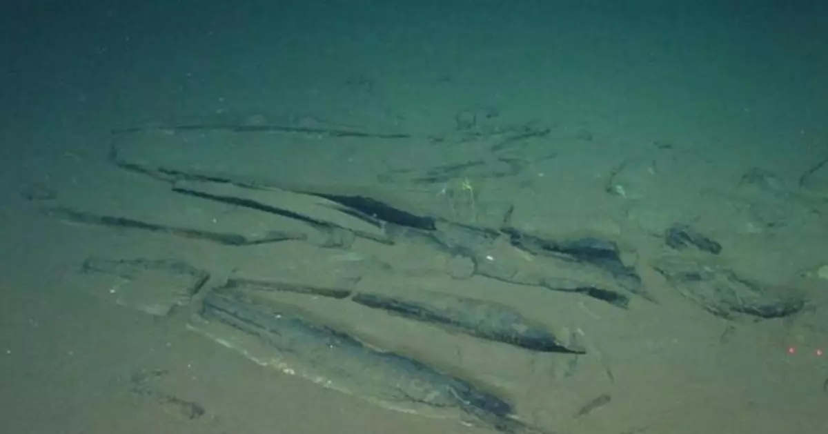印度洋深海發現巨大鯨魚墓地 最遠古遺骸可追溯至530萬年前