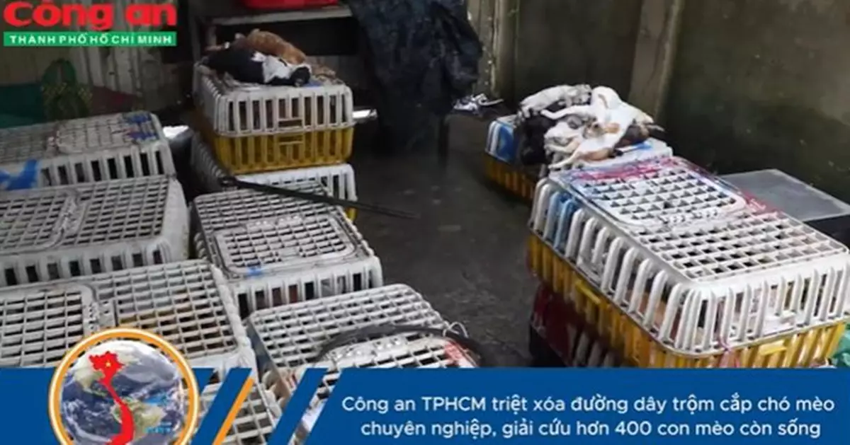 越南警方搗破偷貓集團！救出逾400活貓　40隻已與主人團聚