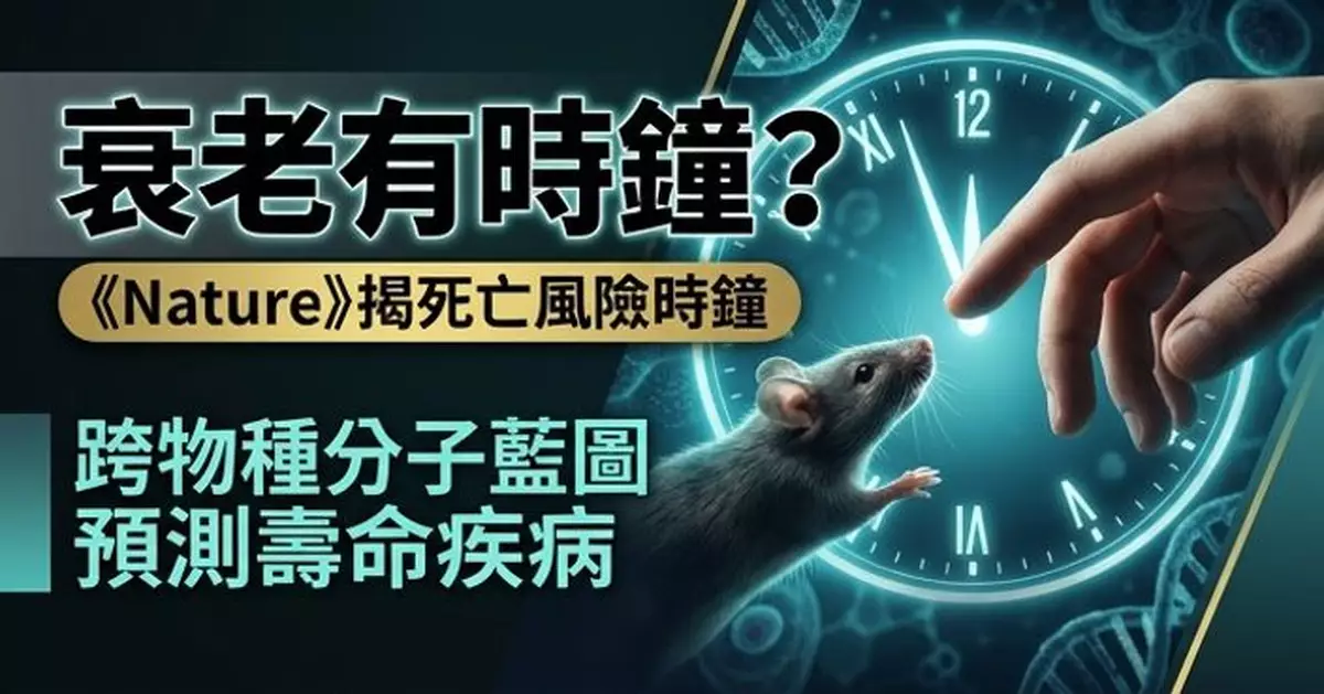 《Nature》研究揭哺乳動物衰老分子藍圖 建立「死亡風險時鐘」或助預測壽命疾病