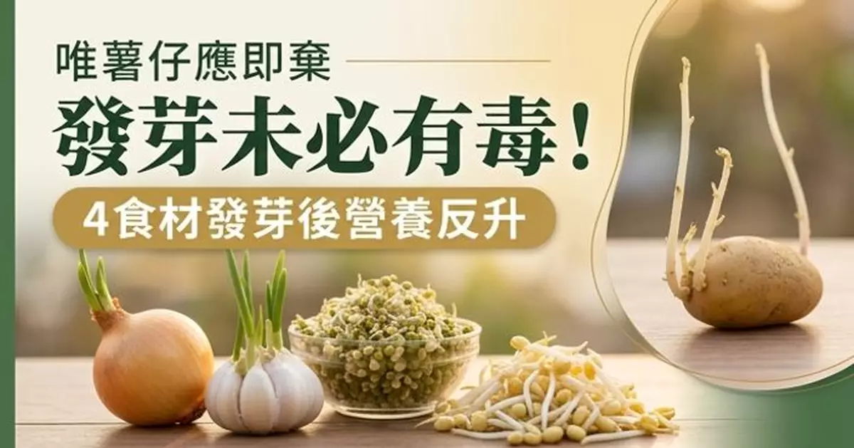 別看見發芽即丟棄 營養師：4食材發芽後營養反提升 薯仔應即棄