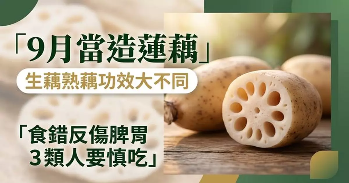 蓮藕9月最當造？生藕熟藕功效有別 食錯反傷脾胃