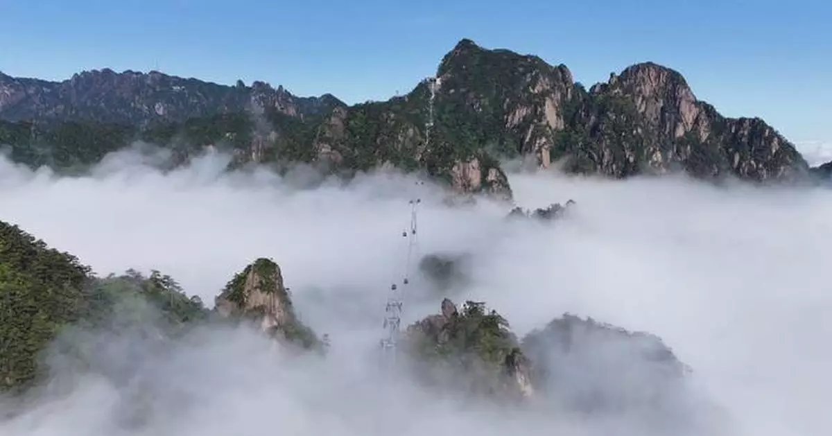 壯麗雲海現華東黃山 營造如夢似幻景色