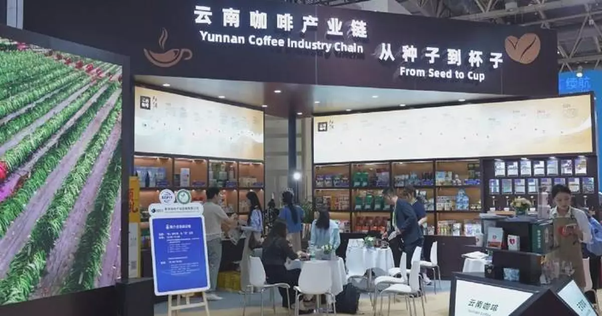 雲南咖啡生產商供應鏈博覽會展精品豆